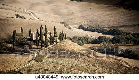 Traditional farmhouse, Siena, Valle Orcia, Tuscany, Italy View Large Photo Image Stock Photo - Traditional farmhouse, Siena, Valle Orcia, Tuscany, Italy. Fotosearch