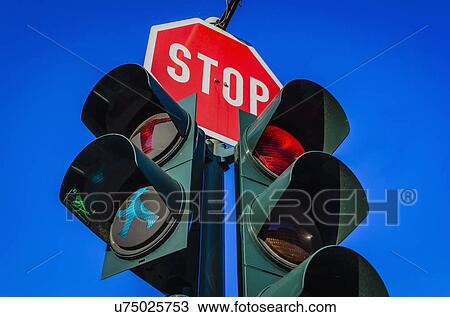 Traffic lights in Berlin, Germany View Large Photo Image Stock Image - Traffic lights in Berlin, Germany. Fotosearch