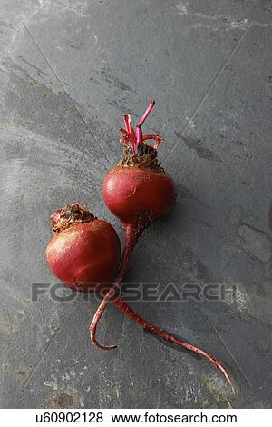 Stock Photo - Two radishes. Fotosearch