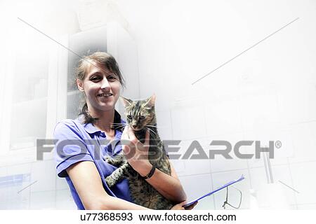 Vet holding domestic cat View Large Photo Image Stock Image - Vet holding domestic cat. Fotosearch