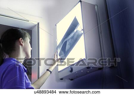Picture - Vet looking at xray. Fotosearch