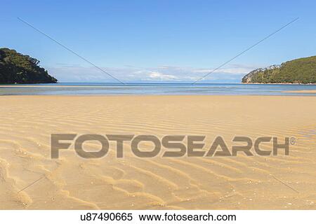 View of beach and Tasman sea, Bark Bay, South Island, New Zealand View Large Photo Image Stock Photography - View of beach and Tasman sea, Bark Bay, South Island, New Zealand. Fotosearch