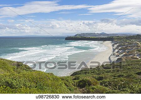 View of sand dunes and beach, Dunedin, Otago, South Island, New Zealand View Large Photo Image Stock Image - View of sand dunes and beach, Dunedin, Otago, South Island, New Zealand. Fotosearch