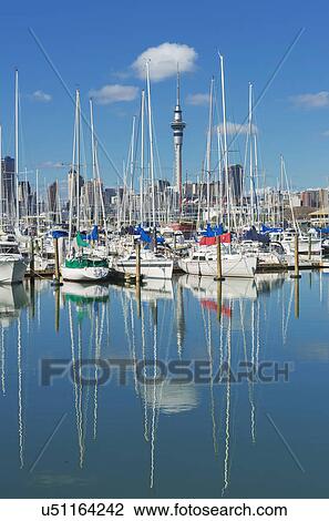 View of yachts at Westhaven Marina and sky tower, Auckland, North Island, New Zealand View Large Photo Image Stock Image - View of yachts at Westhaven Marina and sky tower, Auckland, North Island, New Zealand. Fotosearch