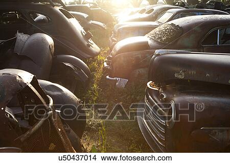 Picture - Vintage cars abandoned in scrap yard. Fotosearch