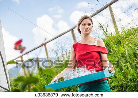 Waitress with a tray of glasses, Tyrol, Austria View Large Photo Image Stock Photo - Waitress with a tray of glasses, Tyrol, Austria. Fotosearch