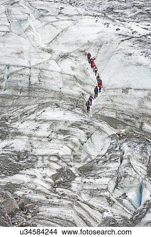 Picture - Walkers on Fox Glacier, South Island, New Zealand. Fotosearch