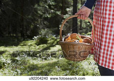 Stock Image - Woman with basket of mushrooms in forest. Fotosearch