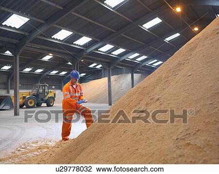 Worker inspecting wood chip in store View Large Photo Image Stock Image - Worker inspecting wood chip in store. Fotosearch