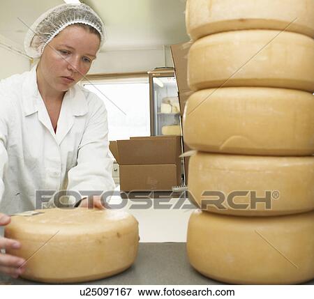Worker with pile of cheese rounds at farm factory View Large Photo Image Stock Photo - Worker with pile of cheese rounds at farm factory. Fotosearch