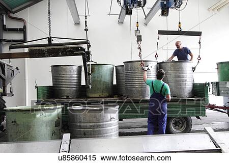 Workers with containers of grapes in industrial wine cellar View Large Photo Image Stock Photography - Workers with containers of grapes in industrial wine cellar. Fotosearch