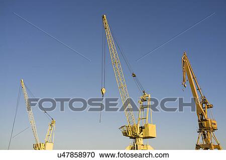 Yellow construction cranes in a row View Large Photo Image Stock Image - Yellow construction cranes in a row. Fotosearch