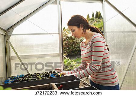 Young woman tending plants View Large Photo Image Stock Image - Young woman tending plants. Fotosearch