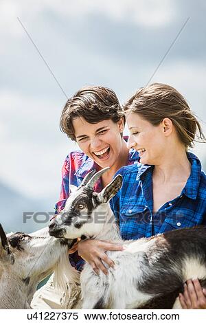 Young women holding kid goats, Tyrol, Austria View Large Photo Image Stock Photography - Young women holding kid goats, Tyrol, Austria. Fotosearch