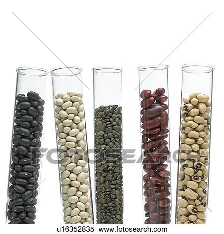 Stock Photography - Beans and pulses in test tubes. Fotosearch