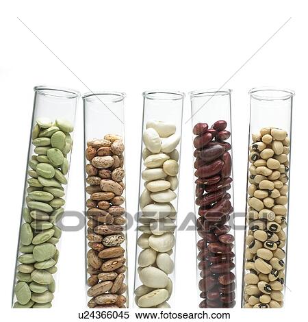 Stock Photography - Beans and pulses in test tubes. Fotosearch