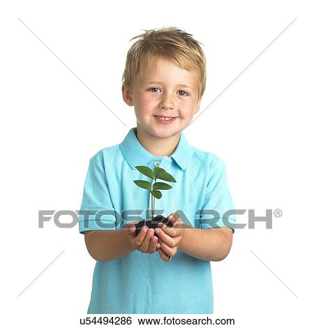 Boy holding seedling View Large Photo Image Stock Photograph - Boy holding seedling. Fotosearch