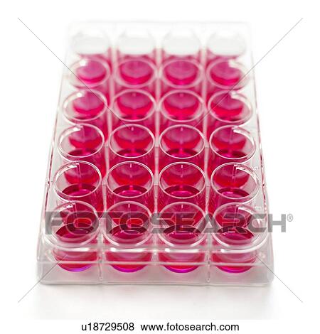 Stock Photo - Cell culture plates. Fotosearch