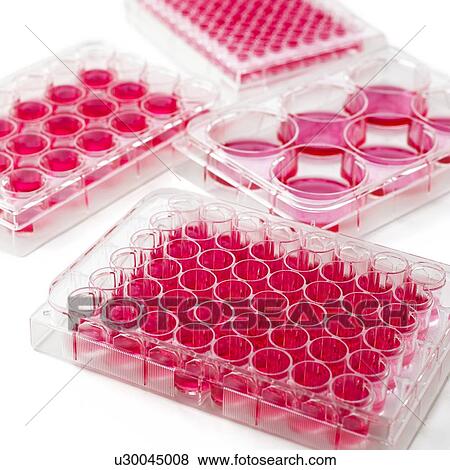 Cell culture plates View Large Photo Image Stock Photo - Cell culture plates. Fotosearch