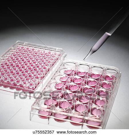 Stock Photo - Cell culture samples. Fotosearch