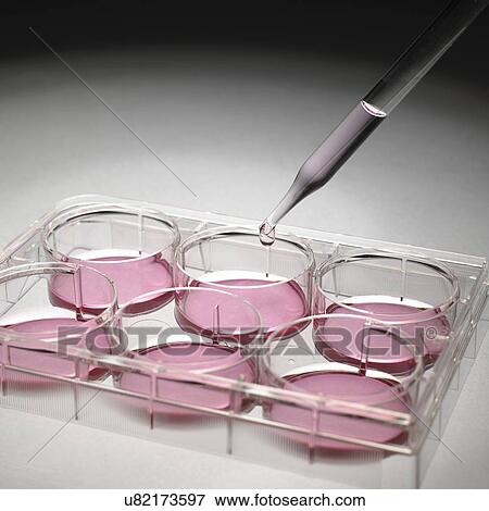 Stock Photo - Cell culture samples. Fotosearch