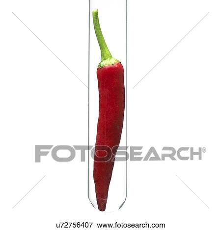 Stock Photo - Chilli in a test tube. Fotosearch