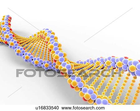 Stock Image - DNA molecule, artwork. Fotosearch