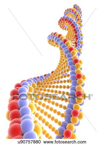 Stock Image - DNA molecule, artwork. Fotosearch