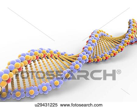DNA molecule, artwork View Large Photo Image Stock Photography - DNA molecule, artwork. Fotosearch