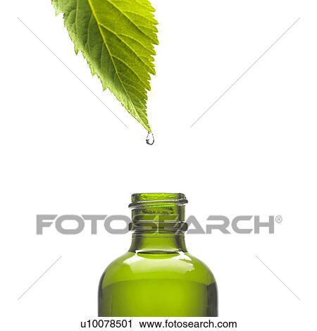 Herbal tincture, conceptual image View Large Photo Image Stock Image - Herbal tincture, conceptual image. Fotosearch