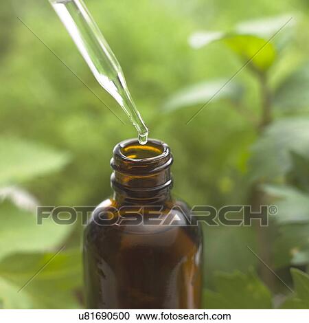 Stock Image - Herbal tincture. Fotosearch