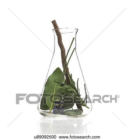 Stock Image - Medicinal plants, conceptual image. Fotosearch