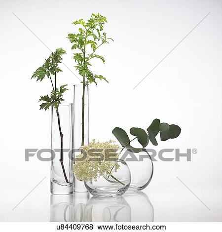Stock Photo - Medicinal plants, conceptual image. Fotosearch