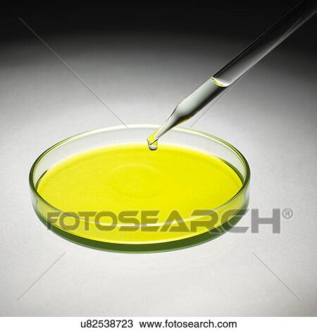 Petri dish and pipette View Large Photo Image Stock Image - Petri dish and pipette. Fotosearch