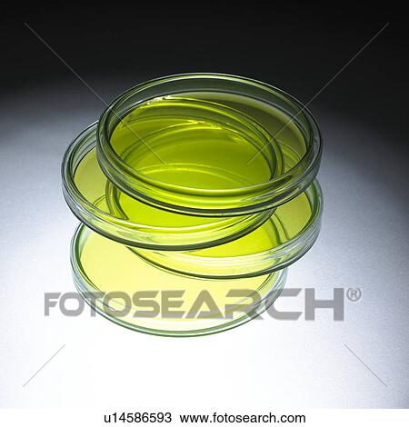 Petri dishes View Large Photo Image Stock Image - Petri dishes. Fotosearch
