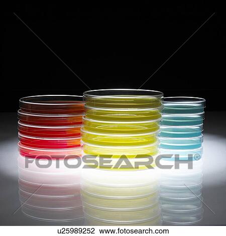 Stock Image - Petri dishes. Fotosearch