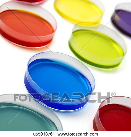 Stock Image - Petri dishes. Fotosearch