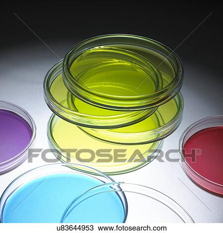 Stock Image - Petri dishes. Fotosearch