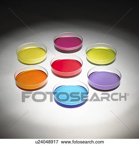 Petri dishes View Large Photo Image Stock Photo - Petri dishes. Fotosearch