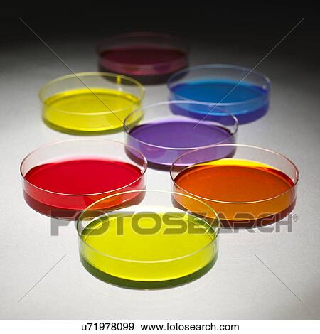 Stock Photo - Petri dishes. Fotosearch