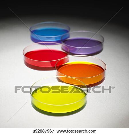 Petri dishes View Large Photo Image Stock Photo - Petri dishes. Fotosearch