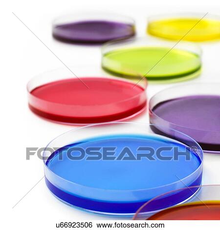 Stock Photograph - Petri dishes. Fotosearch