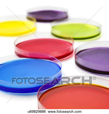 Stock Photograph - Petri dishes. Fotosearch