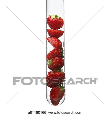 Stock Photograph - Strawberries in a test tube. Fotosearch