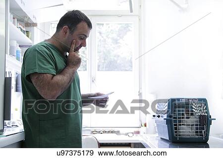 Vet reading a cat's notes View Large Photo Image Stock Photo - Vet reading a cat's notes. Fotosearch