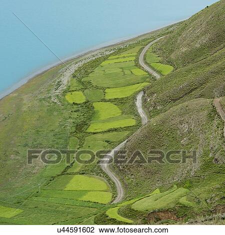 Aerial view of road passing through agricultural fields along Yamdrok Lake, Nagarze, Shannan, Tibet, China View Large Photo Image Stock Image - Aerial view of road passing through agricultural fields along Yamdrok Lake, Nagarze, Shannan, Tibet, China. Fotosearch