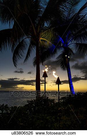 Flaming torches burning at sunset, Waikiki, Honolulu, Oahu, Hawaii, USA View Large Photo Image Stock Photograph - Flaming torches burning at sunset, Waikiki, Honolulu, Oahu, Hawaii, USA. Fotosearch