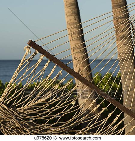 Hammock on the beach, Waikiki, Honolulu, Oahu, Hawaii, USA View Large Photo Image Stock Image - Hammock on the beach, Waikiki, Honolulu, Oahu, Hawaii, USA. Fotosearch