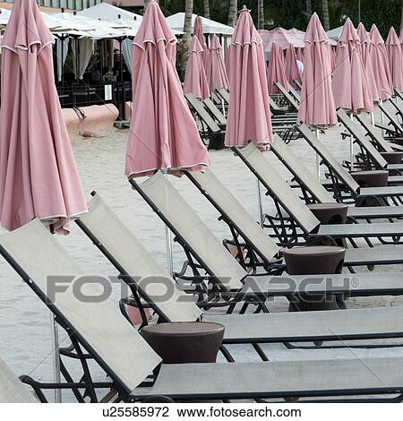 Stock Image - Lounge Chairs with beach umbrellas on the beach, Waikiki, Honolulu, Oahu, Hawaii, USA. Fotosearch