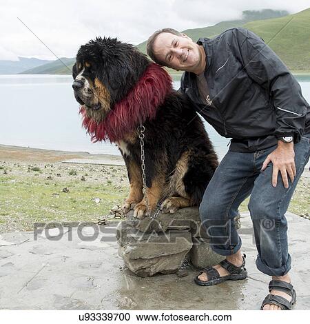 Stock Image - Man posing with decorated Tibetan mastiff dog at Yamdrok Lake, Nagarze, Shannan, Tibet, China. Fotosearch
